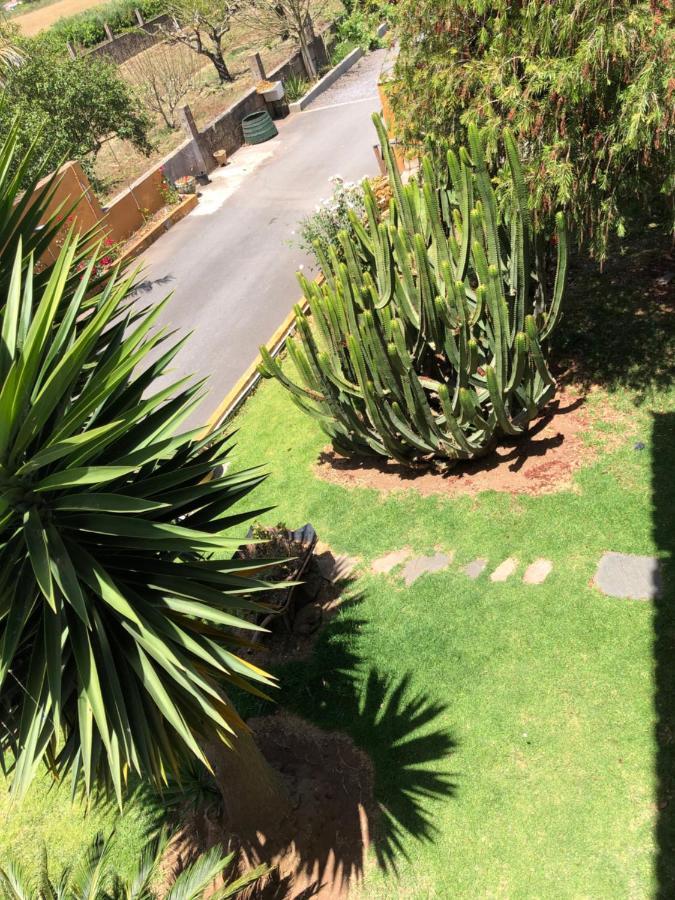 Apartamento En La Laguna La Laguna  Buitenkant foto